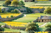 Fields of Green and Gold Divided by Old Stone Walls Landscape Print