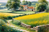 Fields of Green and Gold Divided by Old Stone Walls Landscape Print