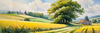 Fields of Green and Gold Divided by Old Stone Walls Landscape Print