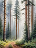Printable art of a foggy morning in a spruce forest with muffled sounds