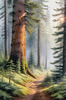 Printable art of a foggy morning in a spruce forest with muffled sounds