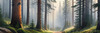 Printable art of a foggy morning in a spruce forest with muffled sounds