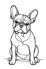 Minimalist Line Art of Seated French Bulldog with Head Tilted