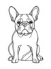 Minimalist Line Art of Seated French Bulldog with Head Tilted