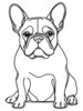 Minimalist Line Art of Seated French Bulldog with Head Tilted