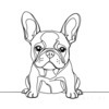 Minimalist Line Art of Sitting French Bulldog with Head Tilted