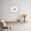 Fuchsia Elegance Kitchen Demo