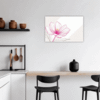 Fuchsia Elegance Kitchen Demo