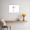 Fuchsia Elegance Kitchen Demo