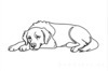 Minimalist Line Art of Restful Golden Retriever