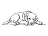Minimalist Line Art of Restful Golden Retriever