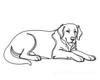 Minimalist Line Art of Restful Golden Retriever