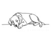 Minimalist Line Art of Restful Golden Retriever
