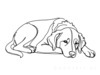 Minimalist Line Art of Restful Golden Retriever