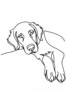 Minimalist Line Art of Restful Golden Retriever