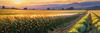 Golden Wheat Field at Sunset Realistic Landscape Art Print