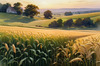 Golden Wheat Field at Sunset Realistic Landscape Art Print