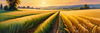 Golden Wheat Field at Sunset Realistic Landscape Art Print