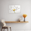 Graceful Tulip Flower Kitchen Demo
