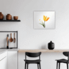 Graceful Tulip Flower Kitchen Demo