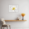 Graceful Tulip Flower Kitchen Demo