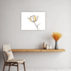 Graceful Tulip Flower Kitchen Demo