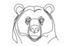 Minimalist Line Art Reflecting Grizzly Bear's Shoulder and Muzzle
