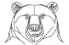 Minimalist Line Art Reflecting Grizzly Bear's Shoulder and Muzzle