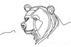 Minimalist Line Art Reflecting Grizzly Bear's Shoulder and Muzzle