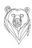 Minimalist Line Art Reflecting Grizzly Bear's Shoulder and Muzzle