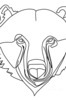 Minimalist Line Art Reflecting Grizzly Bear's Shoulder and Muzzle