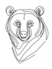 Minimalist Line Art Reflecting Grizzly Bear's Shoulder and Muzzle