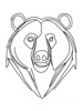 Minimalist Line Art Reflecting Grizzly Bear's Shoulder and Muzzle