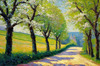 Printable Impressionistic Art of a Countryside Lane with Blossoming Trees