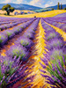 Impressionistic Art Print of a Winding Path through Lavender Fields with Buzzing Bees