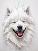 Abstract Sketch of Smiling Samoyed Face - Printable Art