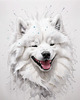 Abstract Sketch of Smiling Samoyed Face - Printable Art