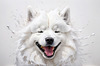 Abstract Sketch of Smiling Samoyed Face - Printable Art