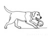 Minimalist Line Drawing of Labrador Retriever Retrieving Ball