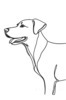 Minimalist Line Drawing of Labrador Retriever Retrieving Ball