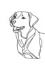 Minimalist Line Drawing of Labrador Retriever Retrieving Ball