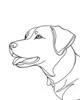 Minimalist Line Drawing of Labrador Retriever Retrieving Ball