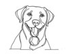 Minimalist Line Drawing of Labrador Retriever Retrieving Ball