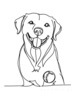 Minimalist Line Drawing of Labrador Retriever Retrieving Ball
