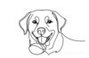 Minimalist Line Drawing of Labrador Retriever Retrieving Ball
