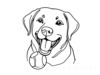 Minimalist Line Drawing of Labrador Retriever Retrieving Ball