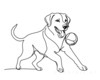 Minimalist Line Drawing of Labrador Retriever Retrieving Ball