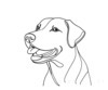 Minimalist Line Drawing of Labrador Retriever Retrieving Ball