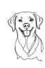 Minimalist Line Drawing of Labrador Retriever Retrieving Ball