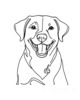 Minimalist Line Drawing of Labrador Retriever Retrieving Ball